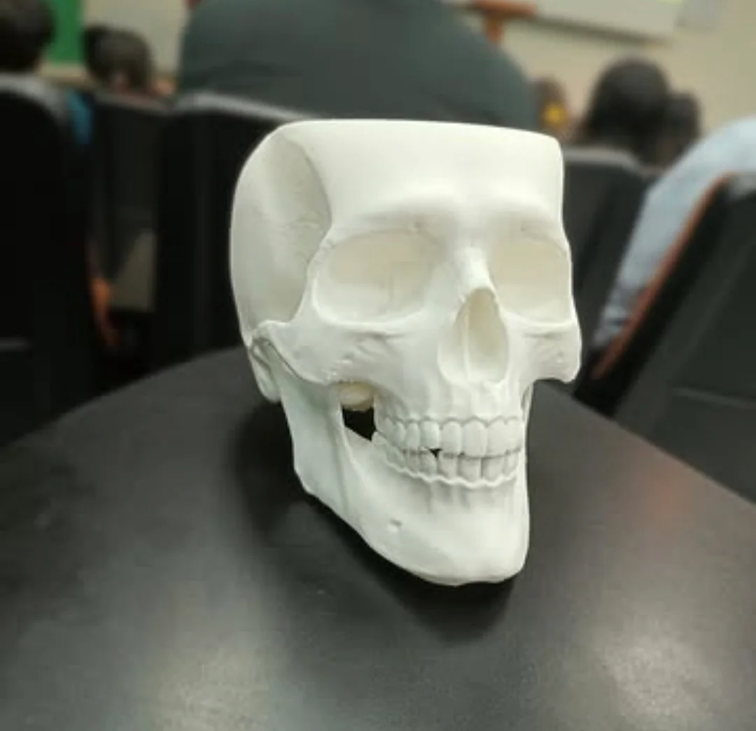 Servicio de Impresión 3D 5